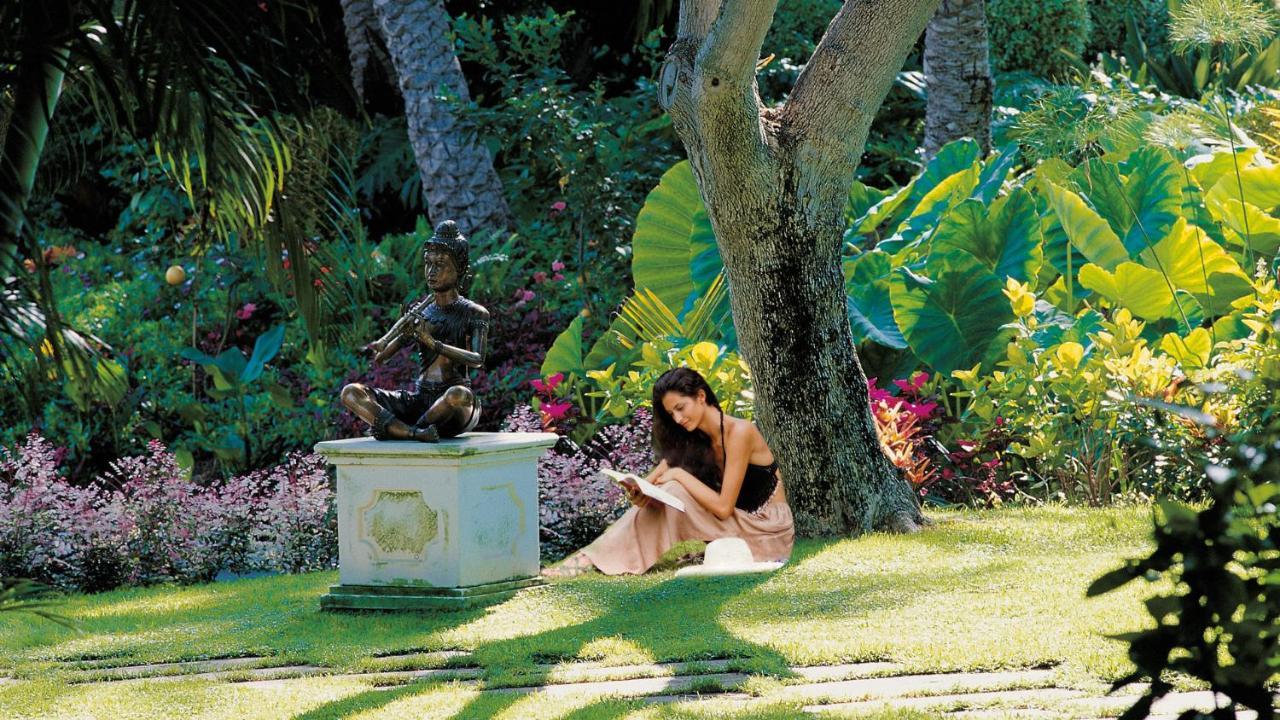 Hotel Botanico Y Oriental Spa Garden Puerto de la Cruz  Exterior foto A student studying in the gardens